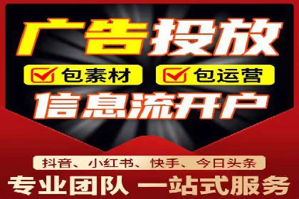 SEM竞价实战：成功案例解析